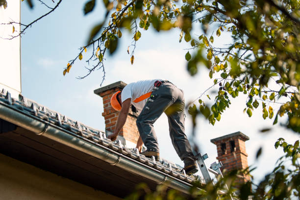 Best Roof Gutter Cleaning  in Ogden, UT